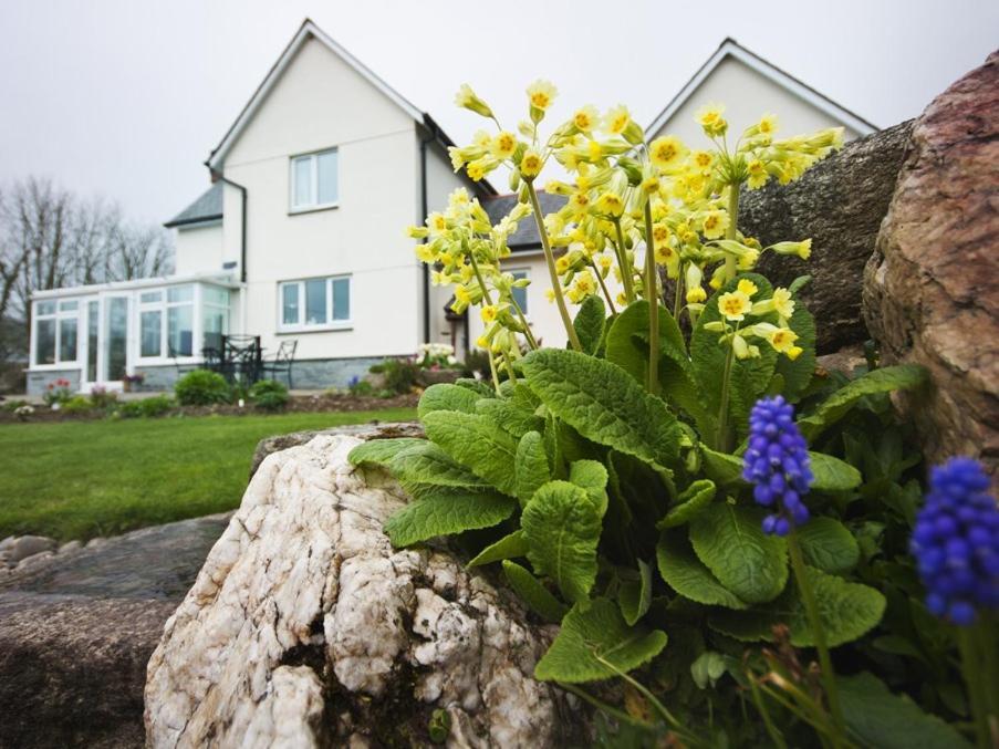 Copper Meadow Bed & Breakfast Launceston Exterior photo